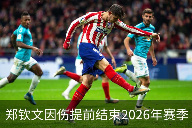 郑钦文因伤提前结束2026年赛季